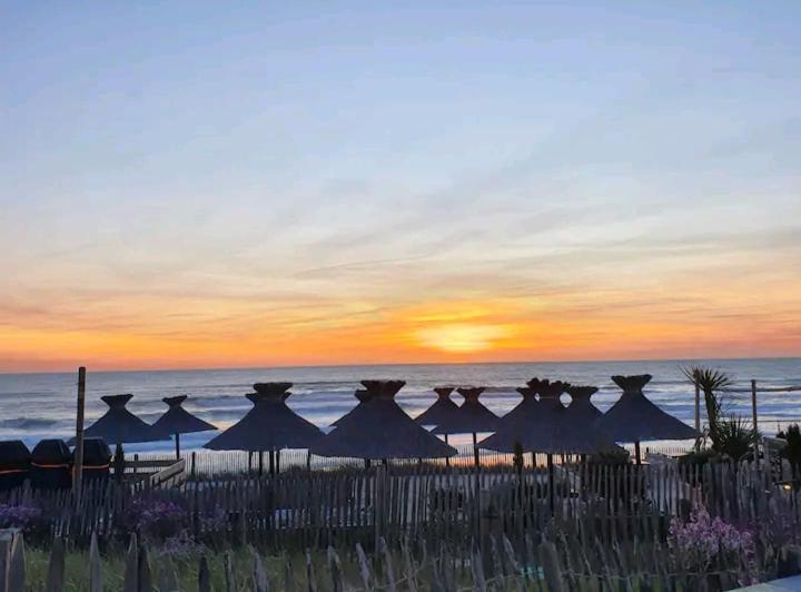 L'Ocean&Dunes Vue A 180° En Bord De Plage Лакано Экстерьер фото