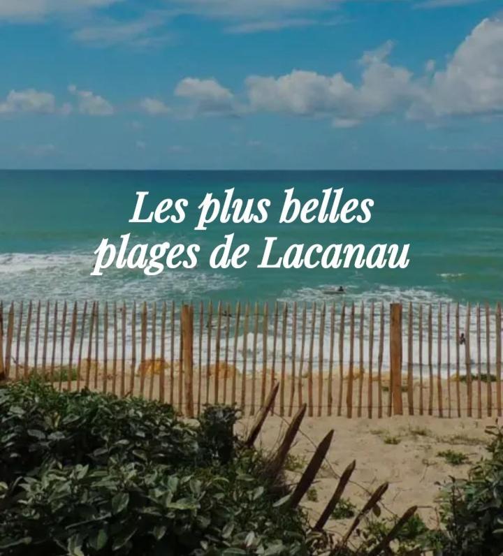 L'Ocean&Dunes Vue A 180° En Bord De Plage Лакано Экстерьер фото